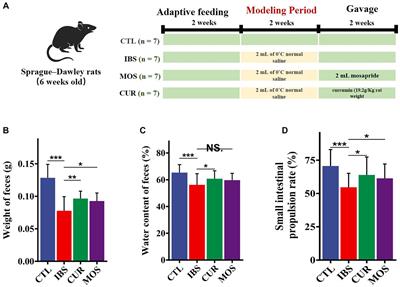 Therapeutic effects of curcumin on constipation-predominant irritable bowel syndrome is associated with modulating gut microbiota and neurotransmitters